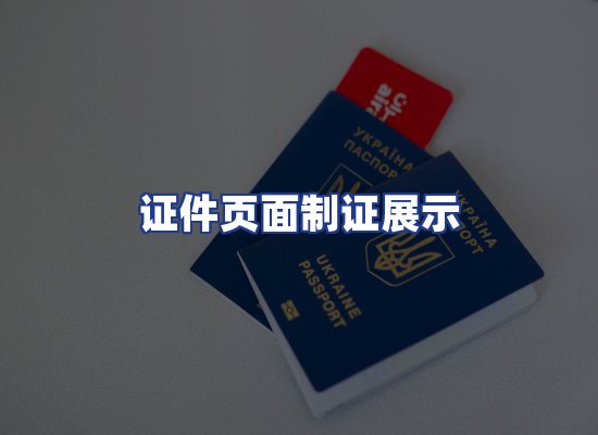 证件页面制证展示